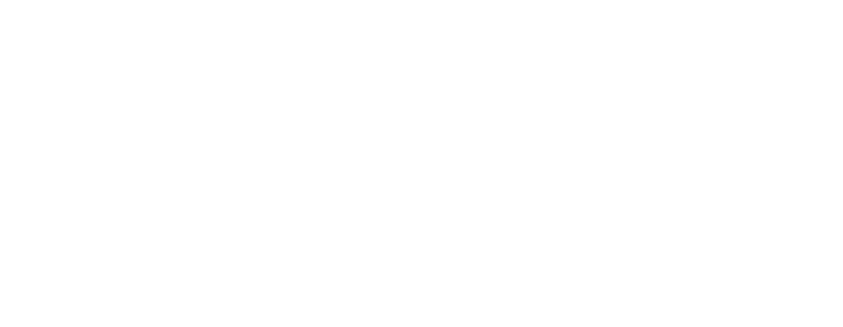 Logo NVN